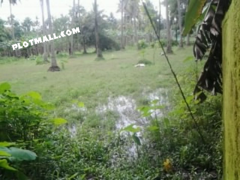 Agricultural Land For Sale