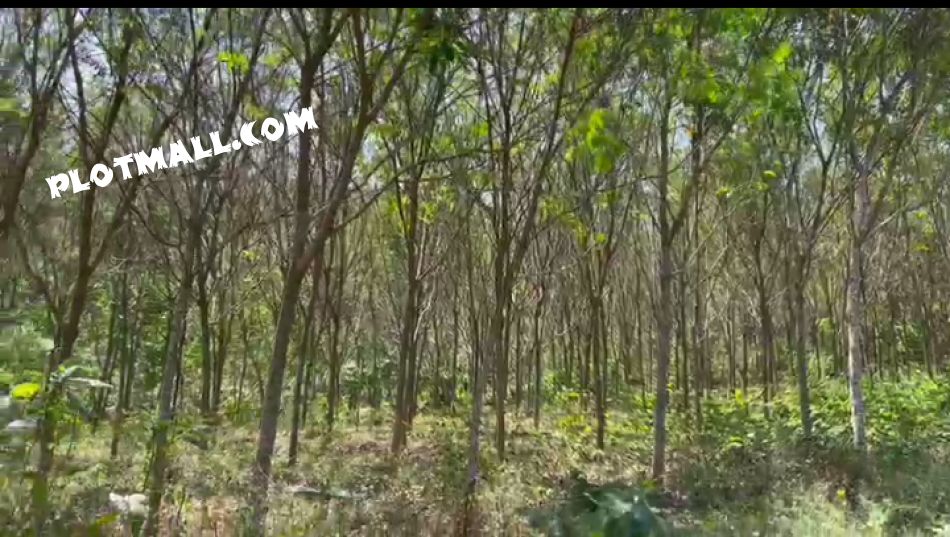 Agricultural Land For Sale