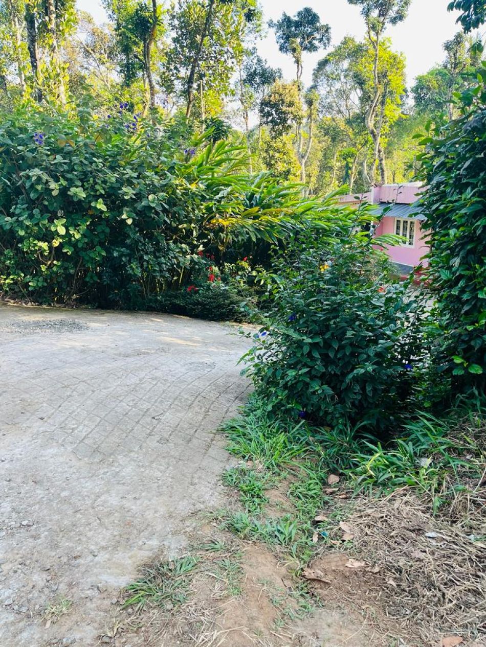 Commercial Land For Sale