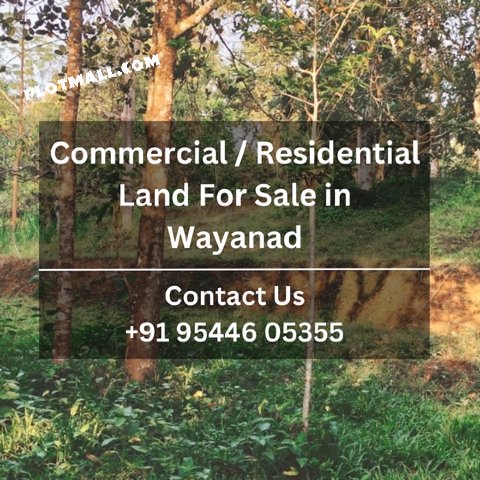 Commercial Land For Sale