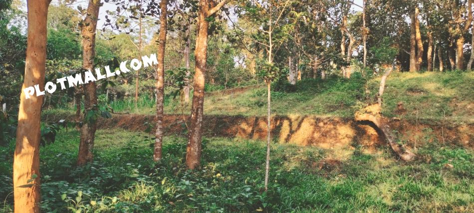 Commercial Land For Sale