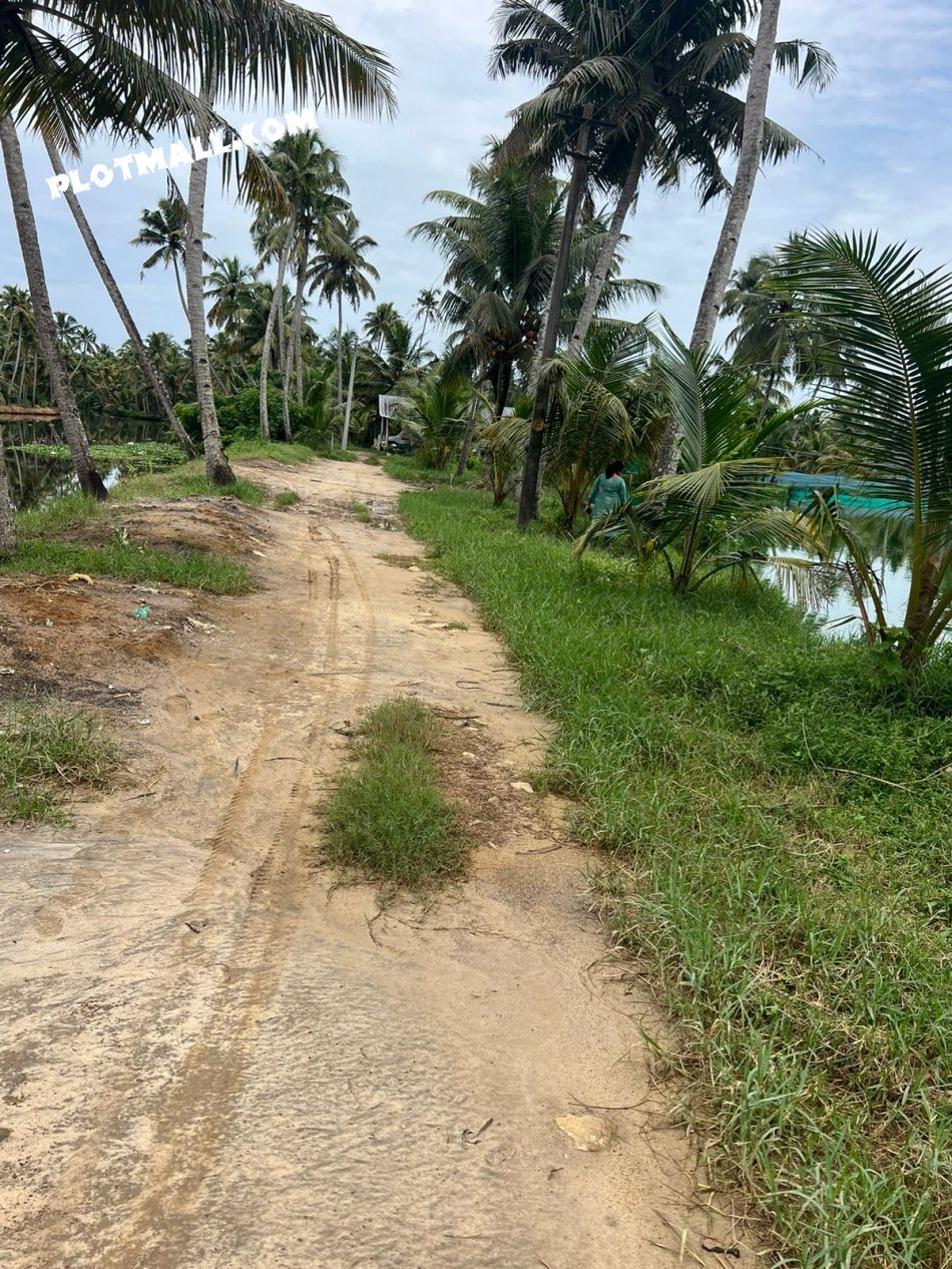 Commercial Land For Sale