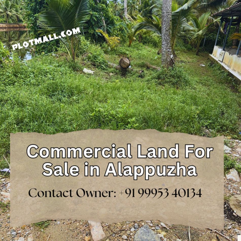Commercial Land For Sale