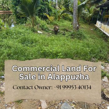 10 Acre Commercial Land for Sale at Alappuzha Budget - 50000 Cent