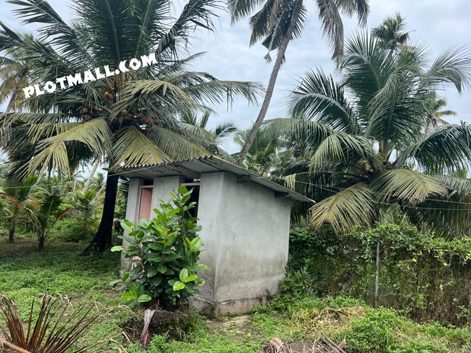 Commercial Land For Sale