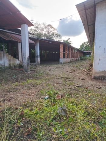 115 Cent Commercial Land for Sale at Alappuzha Budget - 350000 Cent