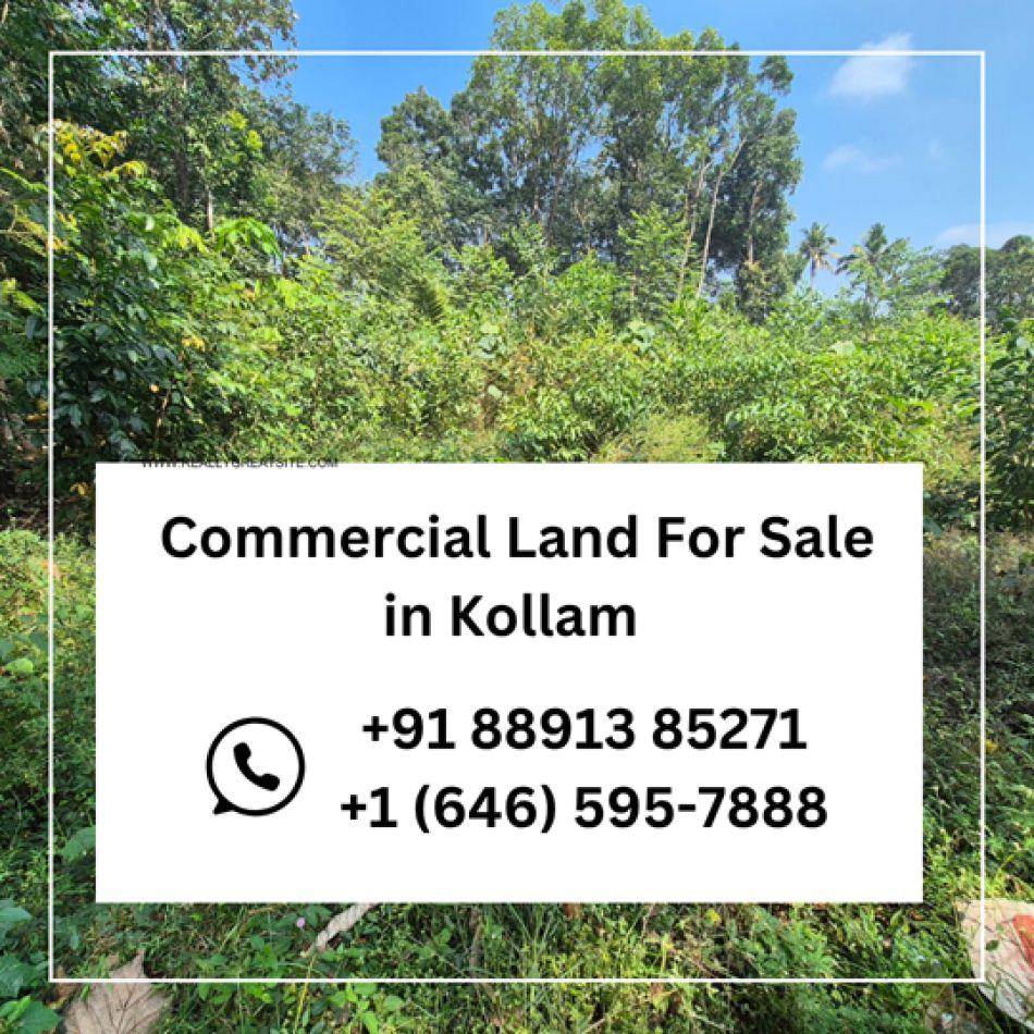Commercial Land For Sale