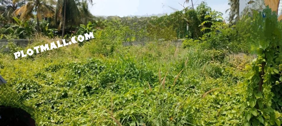 Commercial Land For Sale