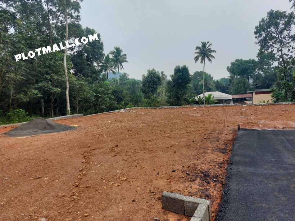Residential Land For Sale In Adoor
