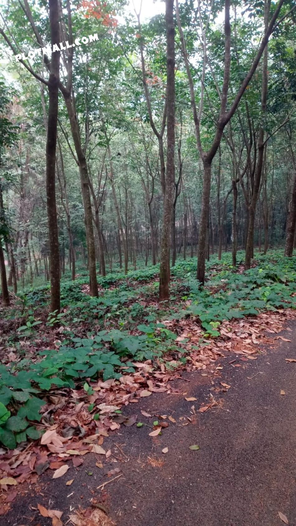 Residential Land For Sale