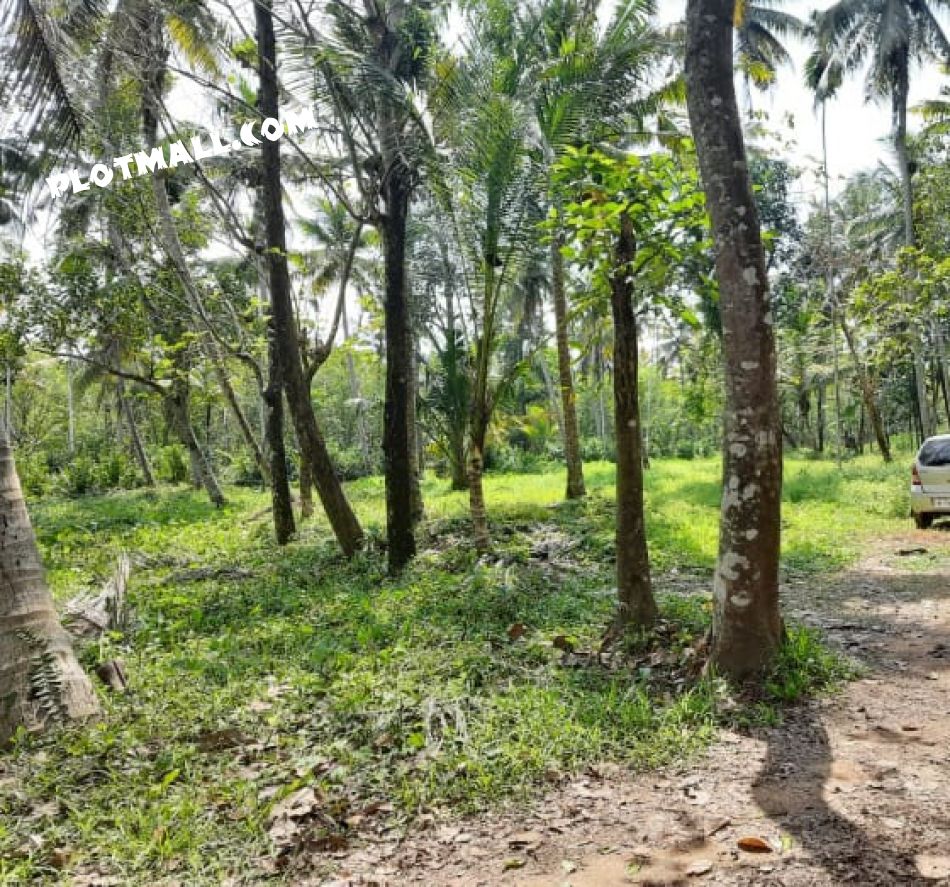 Ernakulam Real Estate Properties