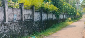 2 Acre Residential Land for Sale at  Budget - 175000 Cent