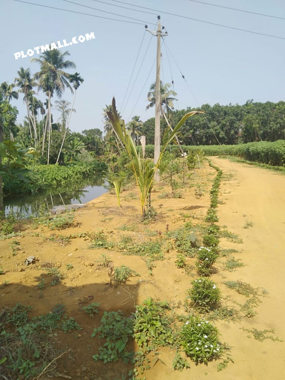 Agricultural Land For Sale
