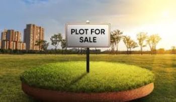 76 Cent Residential Land for Sale at Chittoor Vaduthala Bridge Budget - 110000 Cent