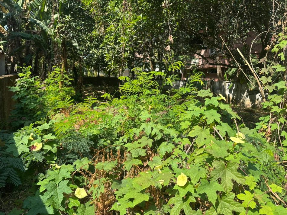 Residential Land For Sale