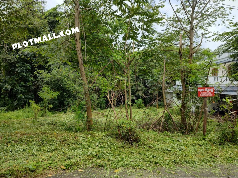Residential Land For Sale