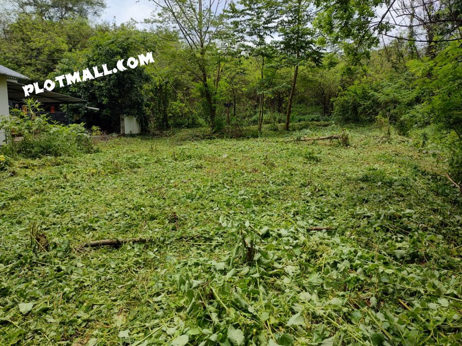 Residential Land For Sale