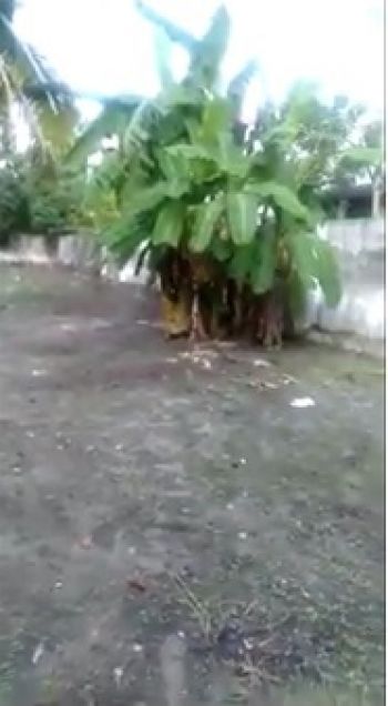 18 Cent Residential Land for Sale at Maruthadi Budget - 277000 Cent