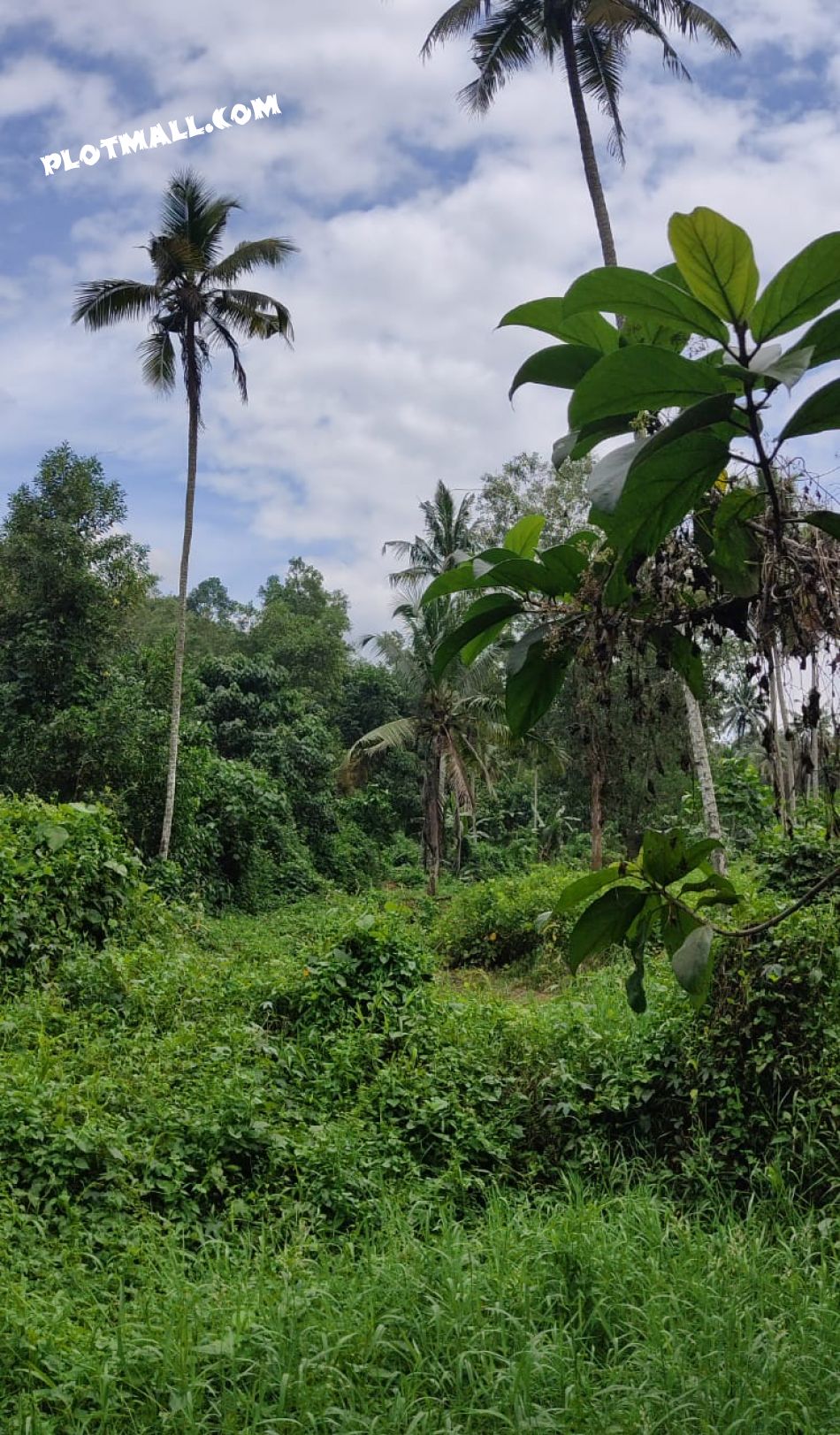 Residential Land For Sale