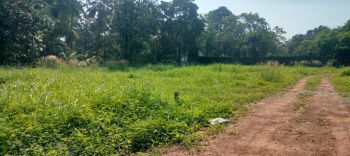 5 Cent Residential Land for Sale at  Budget - 765000 Cent