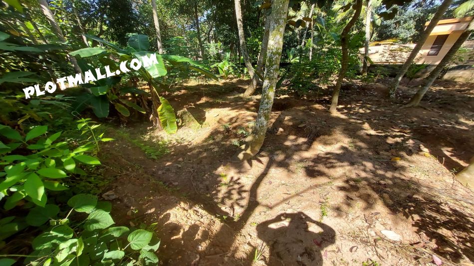 Residential Land For Sale
