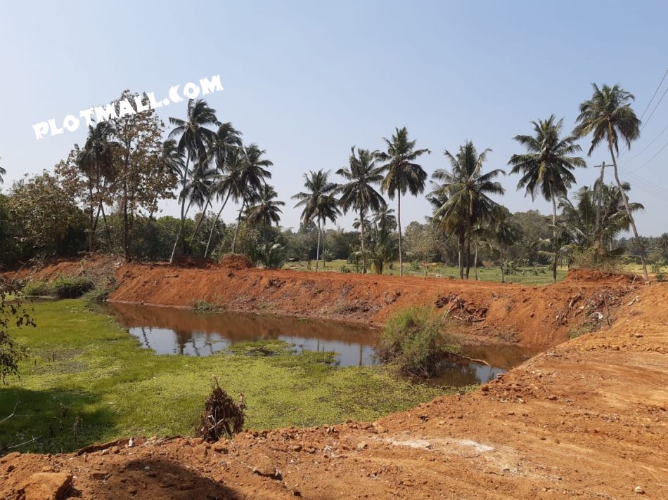 Residential Land For Sale