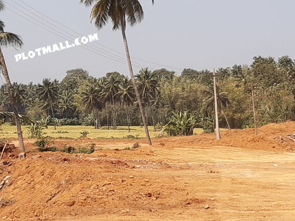 Residential Land For Sale