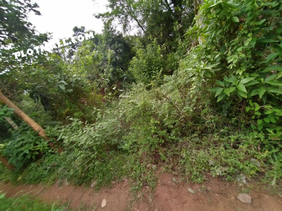 Residential Land For Sale