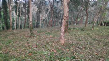 15 Cent Residential Land for Sale at  Budget - 120000 Cent