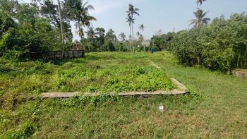 20.5 Cent Residential Land for Sale at Thathappilly Budget - 425000 Cent