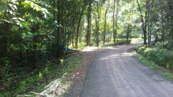 62 Cent Residential Land for Sale at Ulikkal Budget - 140000.00 Cent